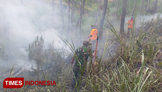 Petugas BPBD, TNI, Polri dan LMDH serta relawan berusaha keras mematikan kebakaran hutan di Desa Tlekung sore ini. (foto: Muhammad Dhani Rahman/TIMES Indonesia) 