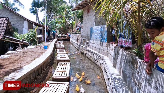 Amazing, Desa Kluncing Banyuwangi Punya Parit Jernih Seperti di Jepang