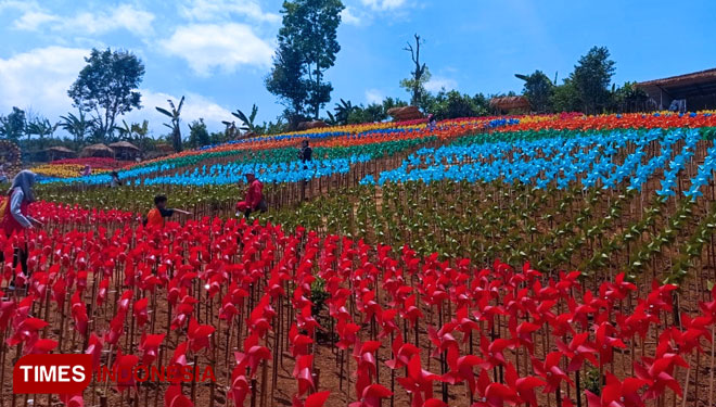 Thousands of colorful propellers in Bumi Kitiran. (PHOTO: Yeni Rachma/TIMES Indonesia)Saturday, 19th October 2019
