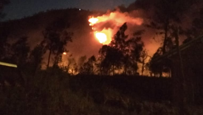 Kebakaran di Gunung Ranti, Banyuwangi. (Foto: Istimewa)