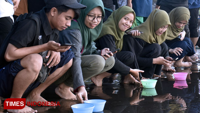 GenBi Jember members releasing the baby turtles. (Picture by: Syamsul Arifin/TIMES Indonesia)