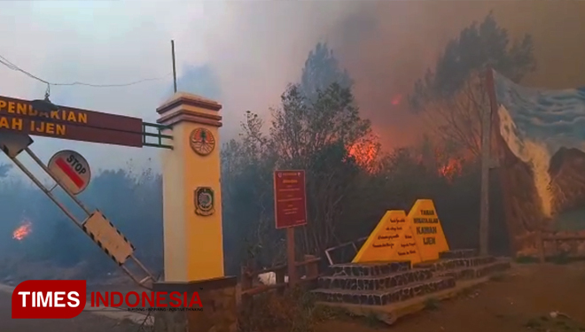 Kebakaran Kawah Ijen, Banyuwangi. (Foto: Agung Sedana/ TIMES Indonesia)