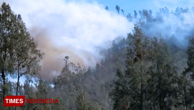 Kobaran api masih terlihat membumbung tinggi di Gunung Ranti. (Foto: Rizki Alfian/TIMESIndonesia)