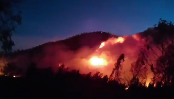 Kebakaran Gunung Ranti Banyuwangi. (Foto: Istimewa)