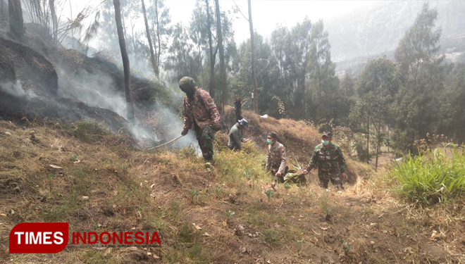 Pemadaman api di lereng Tengger oleh personel TNI dan stake holder lainnya. (FOTO: Letkol Inf Imam WIbowo for TIMES Indonesia)
