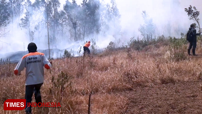 Petugas saat berjibaku melawan api dan angin kencan saat kebakaran di Gunung Ijen. (FOTO: Moh Bahri/TIMES Indonesia)
