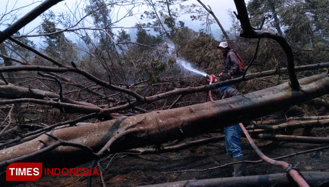 Kebakaran di wilayah hutan konservasi Gunung Ijen, Banyuwangi. (Foto: Agung Sedana/TIMES Indonesia)