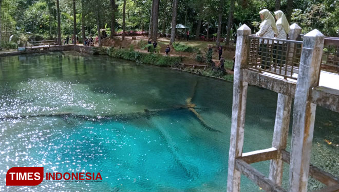 Rambut Monte Telaga Asri Di Ujung Utara Kabupaten Blitar