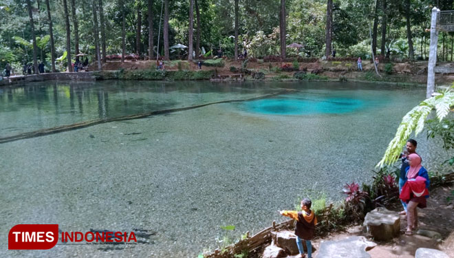 Rambut Monte, An Emerald Green Spring Water in Blitar - TIMES Indonesia