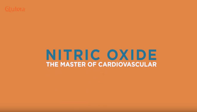 Apa Itu Nitric Oxide?