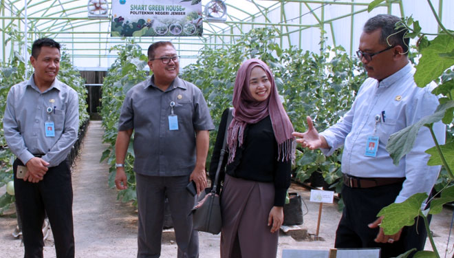 Kunjungi Polije, Utusan Kemenko PMK Kagumi TEFA dan Smart Garden House Milik Kampus