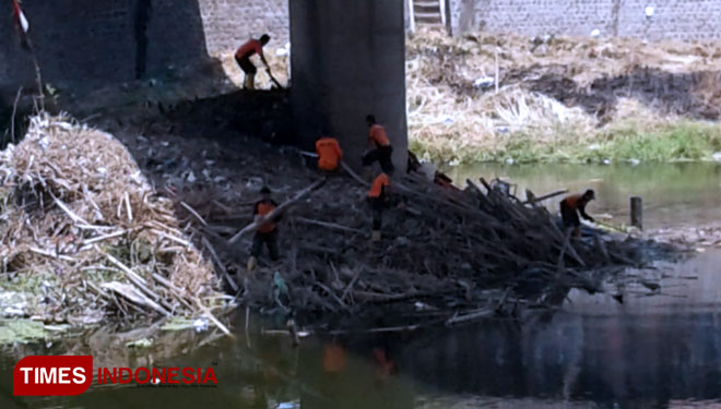 Petugas BPBD Kota Madiun membersihkan onggokan sampah bambu di bawah Jembatan Manguharjo. (Foto : Ito Wahyu U/TIMES Indonesia)