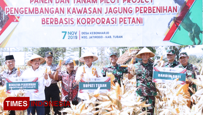 Pengembangan Kawasan Jagung Perbenihan Berbasis Korporasi Petani, di desa Kebonharjo, Jatirogo, Tuban, Kamis (07/11/2019). (Foto: Humas Pemkab For TIMES Indonesia)