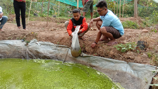 Ibu-Ibu Desa Keben, Gading, Probolinggo berlatih aneka olahan ikan, kerjasama dengan KKN Unuja Probolinggo (foto: Yahya/TIMES Indonesia)