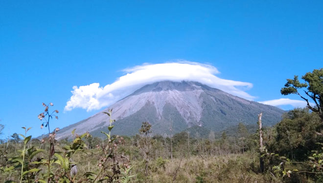 Fenomena topi awan di puncak Gunung Semeru, Kamis (7/11/2019) pagi. (Foto: Dok. TNBTS)
