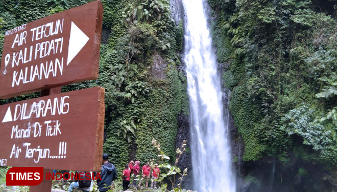 Air Terjun Kalipedati, Probolinggo. (Picture by: Dicko W/TIMES Indonesia)