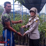 Dukung Gerakan Optimalisasi Lahan, BPTP Balitbangtan Jatim serahkan Bibit Mangga Garifta Merah