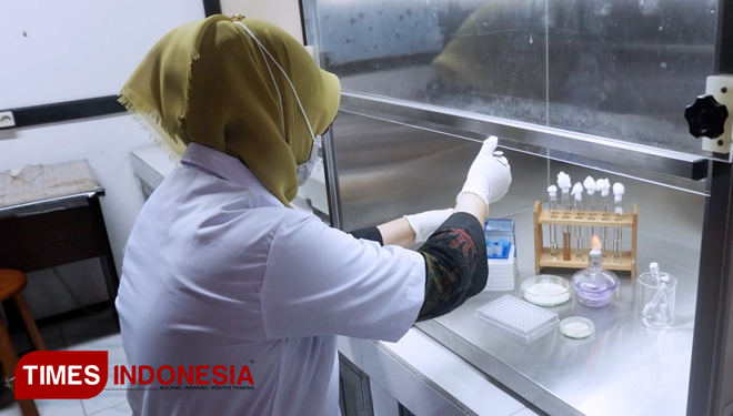 Dr. Suryani Dyah Astuti, M.Si melakukan pengenceran doxycycline di laboratorium Biofisika dan Fisika Medis FST UNAIR KAMPUS C. (FOTO: AJP TIMES Indonesia)