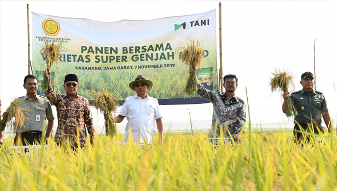 Menteri Pertanian Syahrul Yasil Limpo (kanan) dalam panen bersama di Karawang, Jawa barat, Kamis (7/11). (Foto:Dok.Kementan RI)