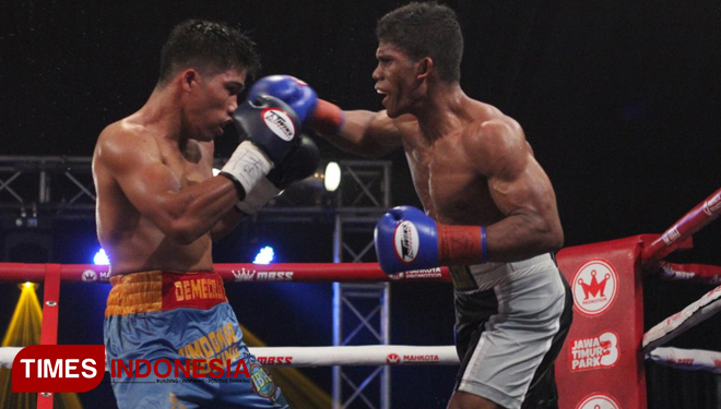 Boxing-5.jpg