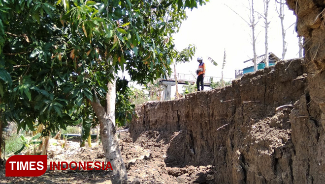 Tanah bantaran Bengawan Solo di Desa/Kecamatan Karanggeneng Lamongan mengalami sliding dan rawan terjadi longsor. (FOTO: MFA Rohmatillah/TIMES Indonesia)