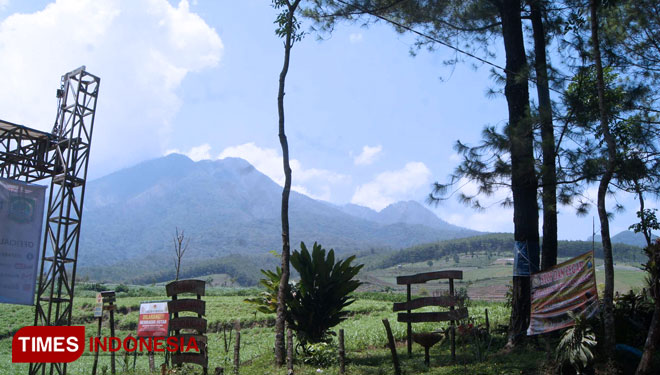 Pemandangan Gunung Kawi melalui obyek wisata Precet Forest Park. (Foto : Binar Gumilang/TIMES Indonesia)