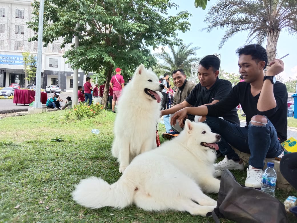 Veterinary-Festival-2019-2.jpg