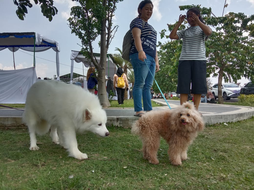 Veterinary-Festival-2019-3.jpg