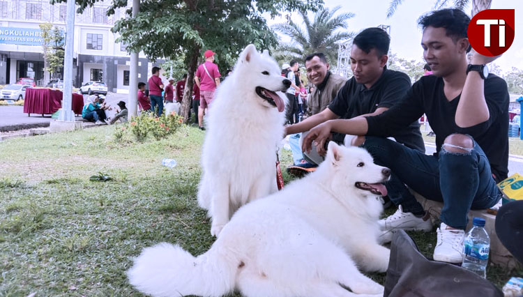 Para pencinta anjing saat menunjukkan hewan kesayangannya dalam acara Veterinary Festival 2019 di Lapangan FKH UB Kampus 2. (Foto: Naufal Ardiansyah/TIMES Indonesia)