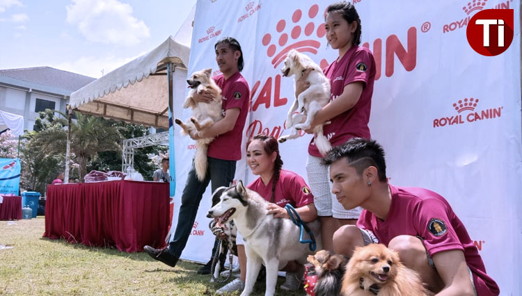 Dog Lovers Community of Malang to Say No to Dog Meat Trade