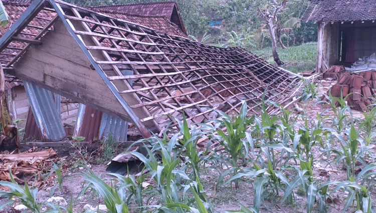 Puting Beliung di Tuban, di dua desa yakni Desa Banyuurip dan Desa Wonosari, Kecamatan, Senori, Kabupaten Tuban, Jawa Timur, Senin (02/12/2019). (FOTO: Istimewa)