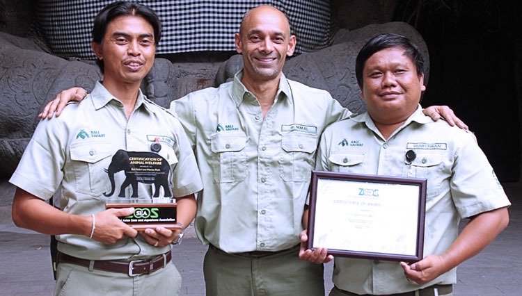 Konsisten Jaga Kelestarian Satwa, Bali Safari and Marine Park Raih SEAZA Award