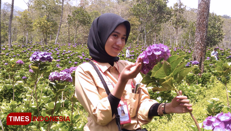wisata-di-Kecamatan-Bumiaji-b.jpg