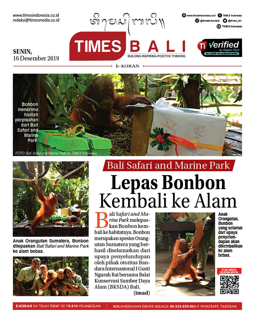 Edisi-Senin-16-Desember-2019-Orang-utan.jpg