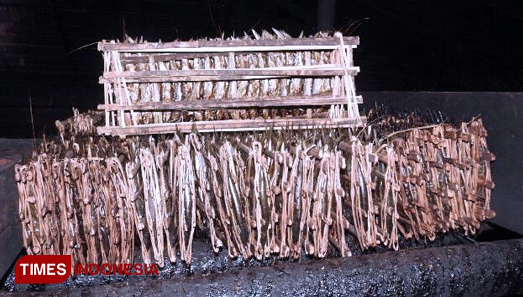 Ikan-ROA-a.jpg