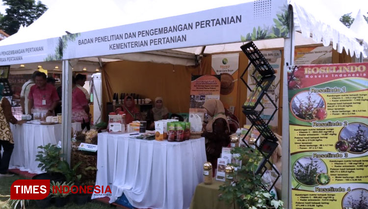 Pameran Hari Perkebunan Ke 62 Ini Yang Ditampilkan Bptp Jatim Times