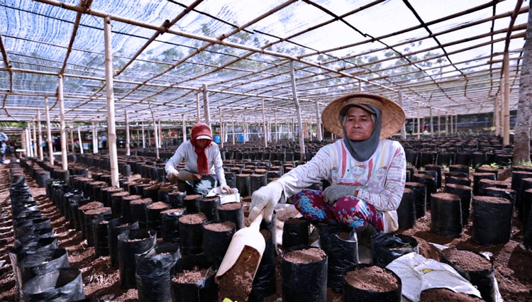 Pengembangan-Destinasi-Kreatif-3.jpg