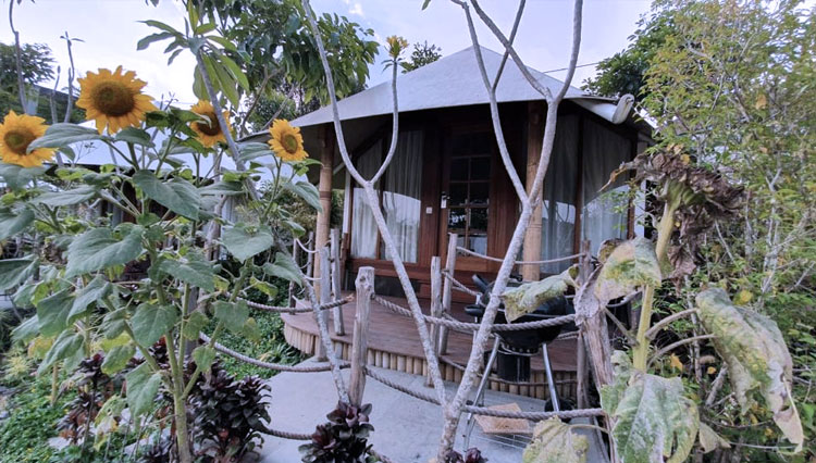 Oak-Tree-Glamping-Resort-3.jpg