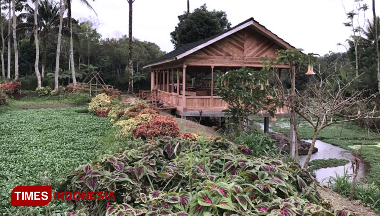 A beautiful mesmerizing spot at Green Paradise Pagar Alam. (Picture by: kiagus/TIMES Indonesia)