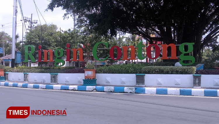 Tugu ringin contong Jombang yang berada di Jalan Wahid Hasyim Jombang (FOTO: Moh Ramli/TIMES Indonesia)