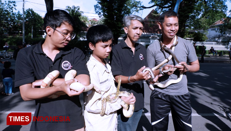 Reptile-Addict-Malang-2.jpg