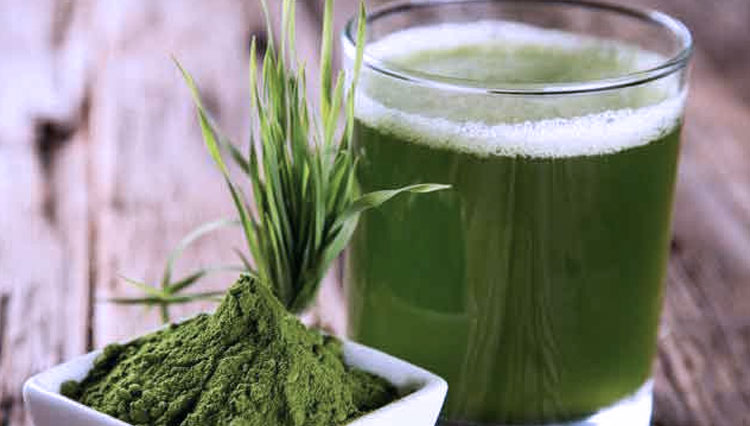 Spirulina. (FOTO: ganapathyexports)