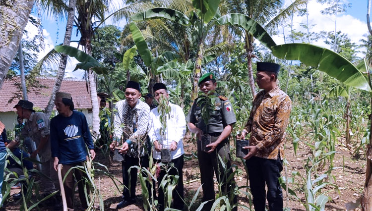Lestarikan Lingkungan, LPBI NU Kabupaten Malang Punya Program Adopsi Pohon