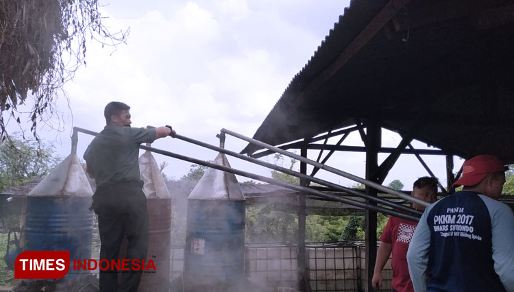 Budidaya Sereh Wangi, Babinsa di Situbondo Ciptakan Peluang Bisnis Baru