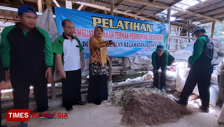 Pemdes Bomo Siap Anggarkan Alat Fermentasi Pakan Ternak untuk Warga