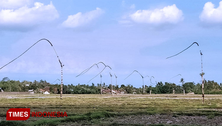 Kiling-Desa-Aliyan-2.jpg