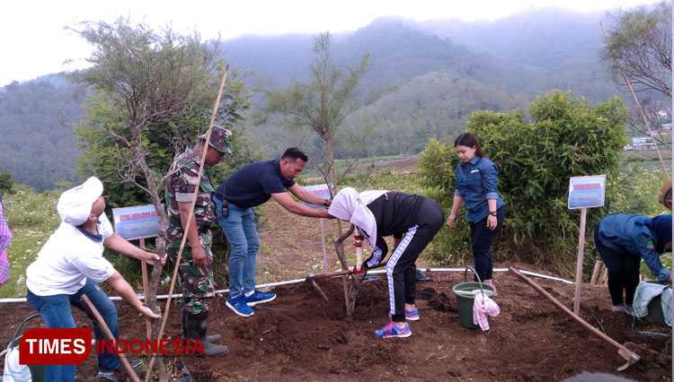 Dra Hj Dewanti Rumpoko M.Si saat menanam bibit pohon pemecah angin di Desa Sumberbrantas, Kecamatan Bumiaji Kota Batu. (FOTO: Muhammad Dhani Rahman/TIMES Indonesia)