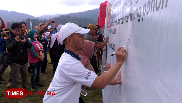 bibit-pohon-pemecah-angin.jpg