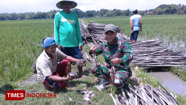 Petani-Ngawi-2.jpg