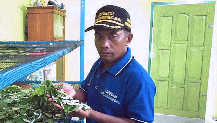 Heri menunjukkan ulat sutra yang dibudidaya di rumahnya. (FOTO: Istimewa)